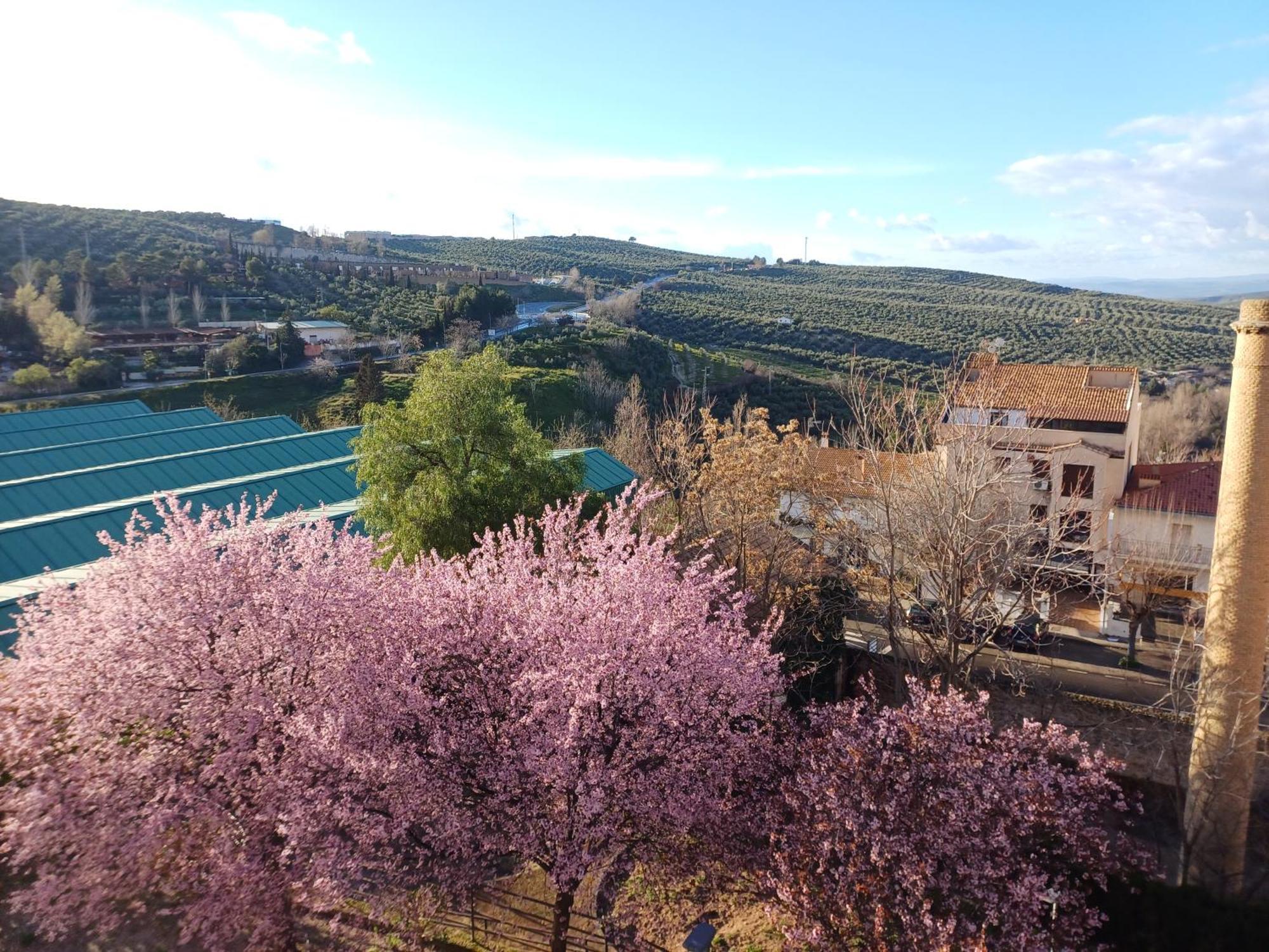 Cazorla Live Apartment ภายนอก รูปภาพ