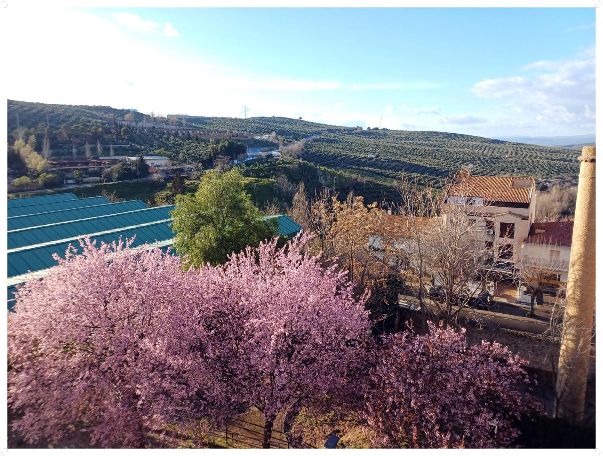 Cazorla Live Apartment ภายนอก รูปภาพ